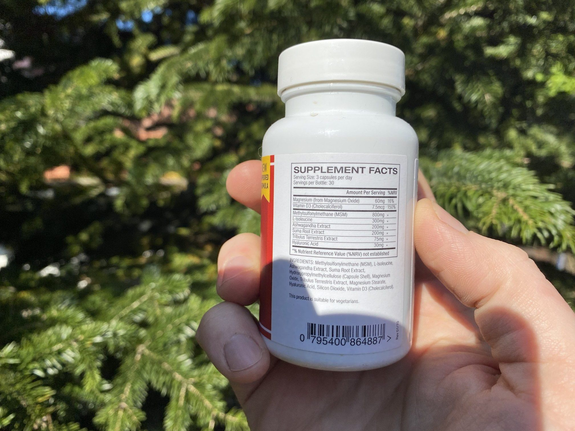 40 mg cardarine