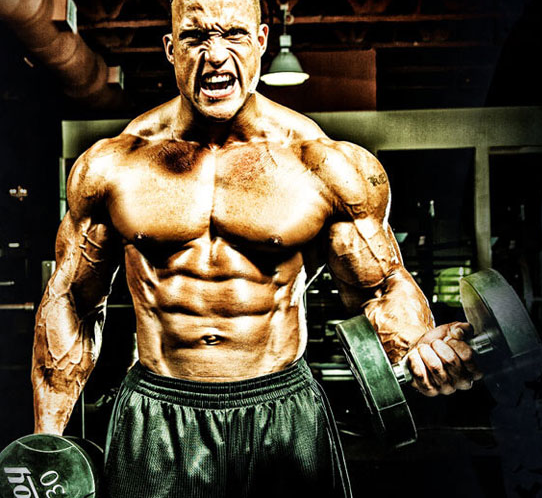 Bulking and cutting steroid cycle