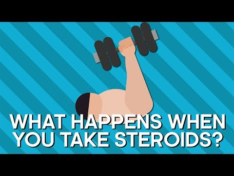 Horse steroids for weight loss